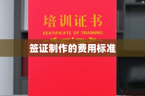 芦淞签证制作的费用标准